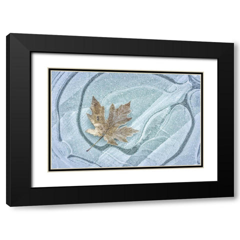Frosty Leaf on Ice I Black Modern Wood Framed Art Print with Double Matting by Mahan, Kathy