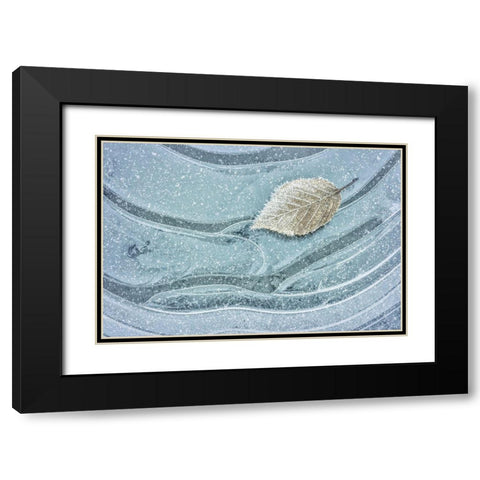 Frosty Leaf on Ice II Black Modern Wood Framed Art Print with Double Matting by Mahan, Kathy