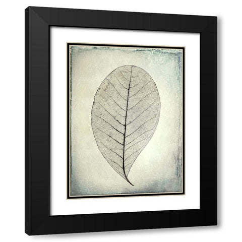 Skeletonized leaf Black Modern Wood Framed Art Print with Double Matting by Mahan, Kathy