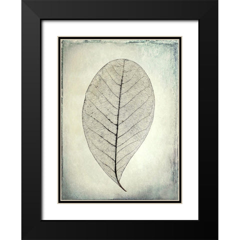Skeletonized leaf Black Modern Wood Framed Art Print with Double Matting by Mahan, Kathy