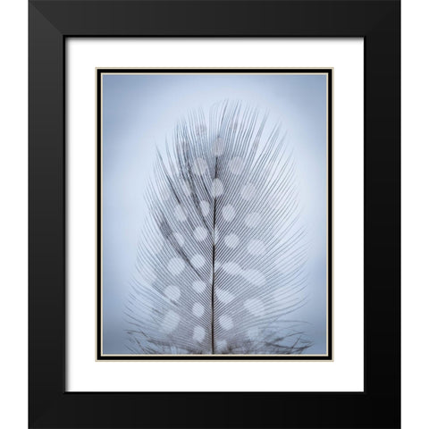 Feather Study I Black Modern Wood Framed Art Print with Double Matting by Mahan, Kathy