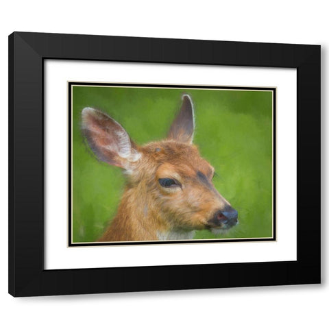 Blacktail Deer I Black Modern Wood Framed Art Print with Double Matting by Mahan, Kathy