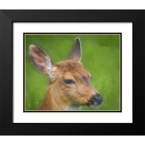 Blacktail Deer I Black Modern Wood Framed Art Print with Double Matting by Mahan, Kathy