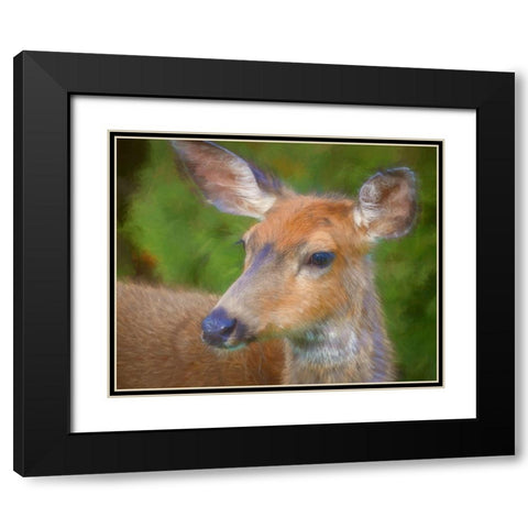 Blacktail Deer II Black Modern Wood Framed Art Print with Double Matting by Mahan, Kathy