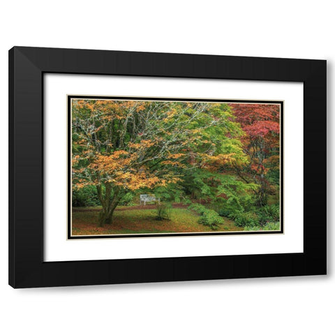 Garden Path Black Modern Wood Framed Art Print with Double Matting by Mahan, Kathy