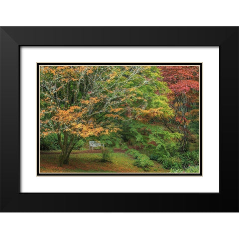 Garden Path Black Modern Wood Framed Art Print with Double Matting by Mahan, Kathy