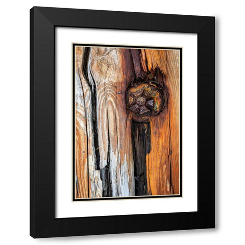 Wood Details I Black Modern Wood Framed Art Print with Double Matting by Mahan, Kathy