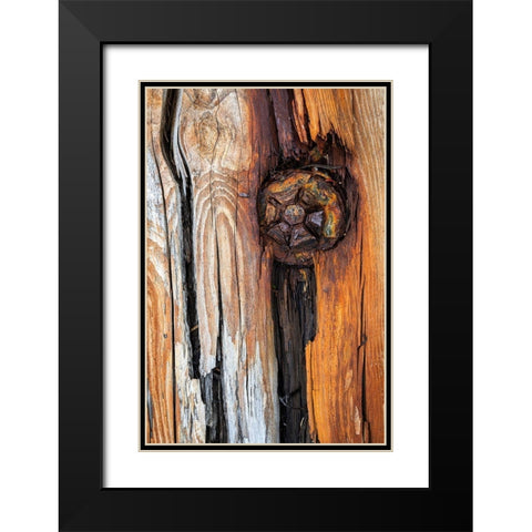 Wood Details I Black Modern Wood Framed Art Print with Double Matting by Mahan, Kathy