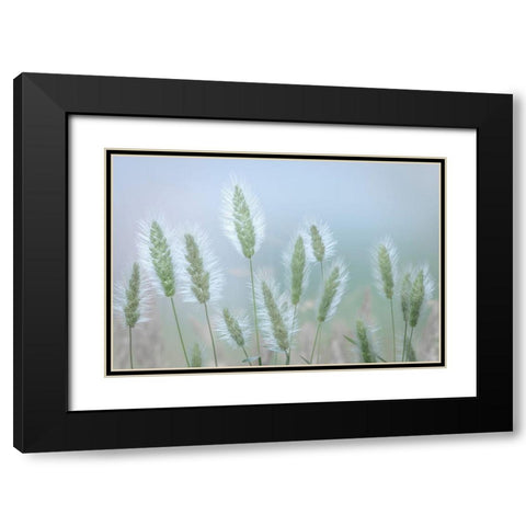 Going to Seed IV Black Modern Wood Framed Art Print with Double Matting by Mahan, Kathy
