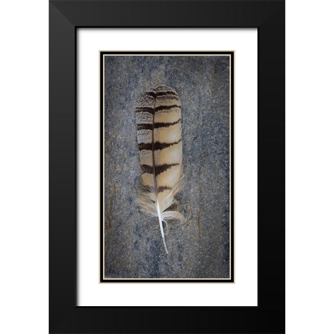 Feather Portrait IV Black Modern Wood Framed Art Print with Double Matting by Mahan, Kathy