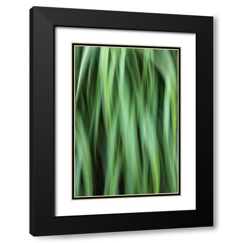 Grass Abstract Black Modern Wood Framed Art Print with Double Matting by Mahan, Kathy