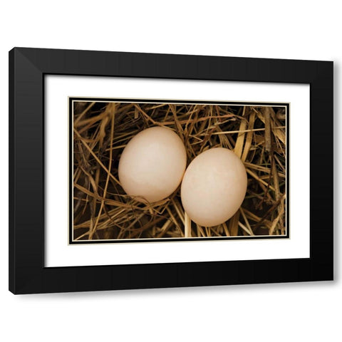Eggs I Black Modern Wood Framed Art Print with Double Matting by Millet, Karyn