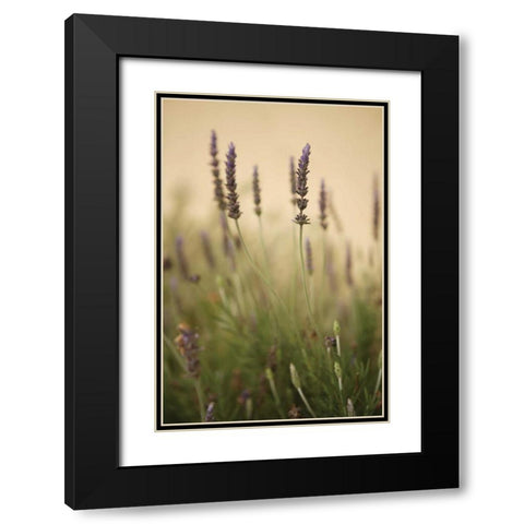 Lavender I Black Modern Wood Framed Art Print with Double Matting by Millet, Karyn