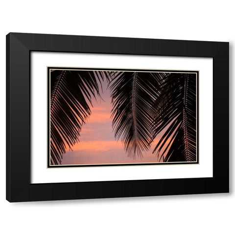 Palms at Sunset Black Modern Wood Framed Art Print with Double Matting by Millet, Karyn