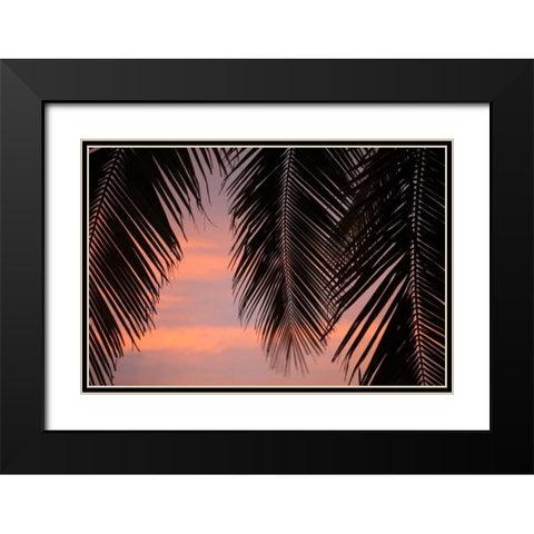 Palms at Sunset Black Modern Wood Framed Art Print with Double Matting by Millet, Karyn
