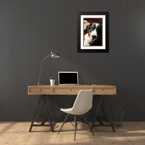 Ranch Dog Black Modern Wood Framed Art Print with Double Matting by Millet, Karyn