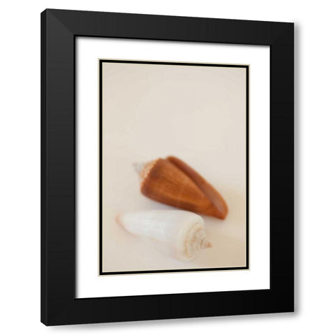 Shell by Shell I Black Modern Wood Framed Art Print with Double Matting by Millet, Karyn