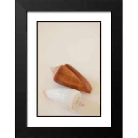 Shell by Shell I Black Modern Wood Framed Art Print with Double Matting by Millet, Karyn