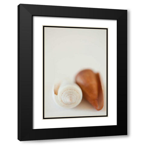 Shell by Shell II Black Modern Wood Framed Art Print with Double Matting by Millet, Karyn
