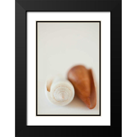 Shell by Shell II Black Modern Wood Framed Art Print with Double Matting by Millet, Karyn