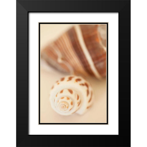 Shell by Shell III Black Modern Wood Framed Art Print with Double Matting by Millet, Karyn