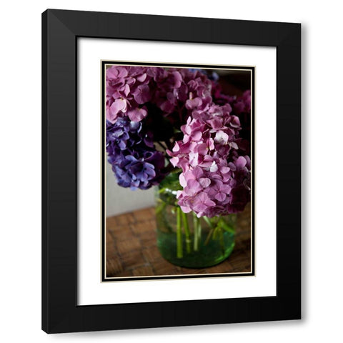 Hydrangeas VI Black Modern Wood Framed Art Print with Double Matting by Millet, Karyn
