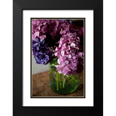 Hydrangeas VI Black Modern Wood Framed Art Print with Double Matting by Millet, Karyn