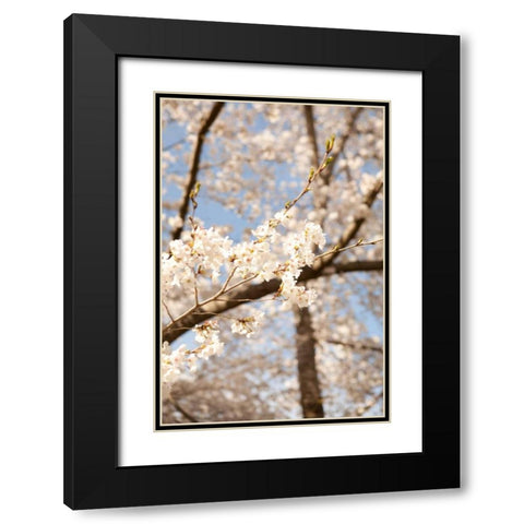 In Bloom I Black Modern Wood Framed Art Print with Double Matting by Millet, Karyn