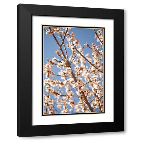 In Bloom VII Black Modern Wood Framed Art Print with Double Matting by Millet, Karyn