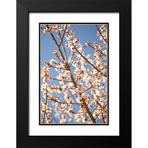 In Bloom VII Black Modern Wood Framed Art Print with Double Matting by Millet, Karyn