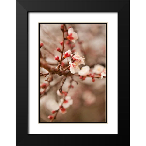 In Bloom XI Black Modern Wood Framed Art Print with Double Matting by Millet, Karyn