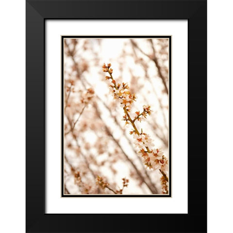 In Bloom XIV Black Modern Wood Framed Art Print with Double Matting by Millet, Karyn