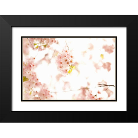 In Bloom XVII Black Modern Wood Framed Art Print with Double Matting by Millet, Karyn