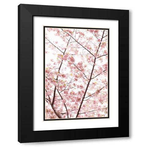 In Bloom XX Black Modern Wood Framed Art Print with Double Matting by Millet, Karyn