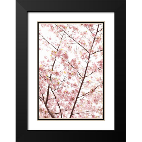In Bloom XX Black Modern Wood Framed Art Print with Double Matting by Millet, Karyn