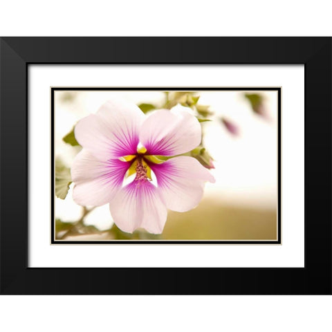 Macro Bloom I Black Modern Wood Framed Art Print with Double Matting by Millet, Karyn