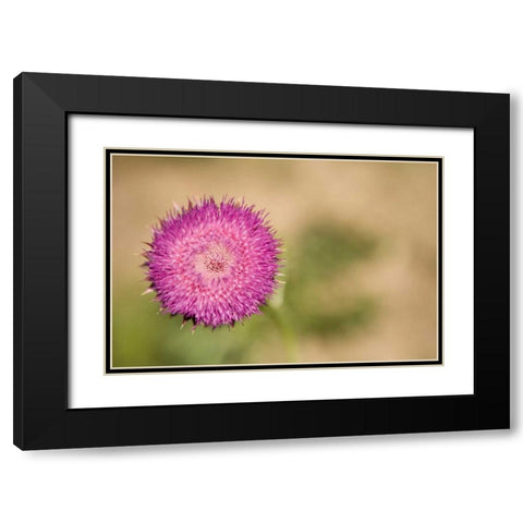 Macro Bloom II Black Modern Wood Framed Art Print with Double Matting by Millet, Karyn