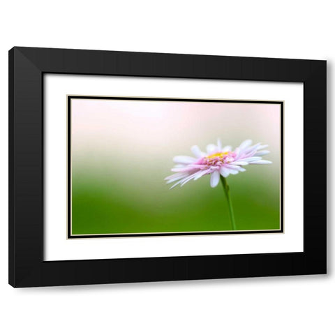 Macro Bloom III Black Modern Wood Framed Art Print with Double Matting by Millet, Karyn