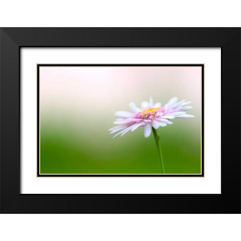 Macro Bloom III Black Modern Wood Framed Art Print with Double Matting by Millet, Karyn