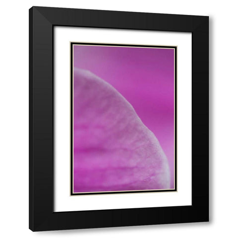 Purple I Black Modern Wood Framed Art Print with Double Matting by Millet, Karyn