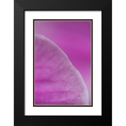 Purple I Black Modern Wood Framed Art Print with Double Matting by Millet, Karyn
