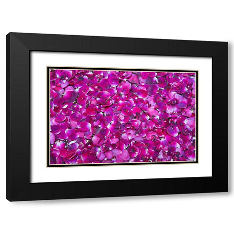 Pink Petals III Black Modern Wood Framed Art Print with Double Matting by Millet, Karyn