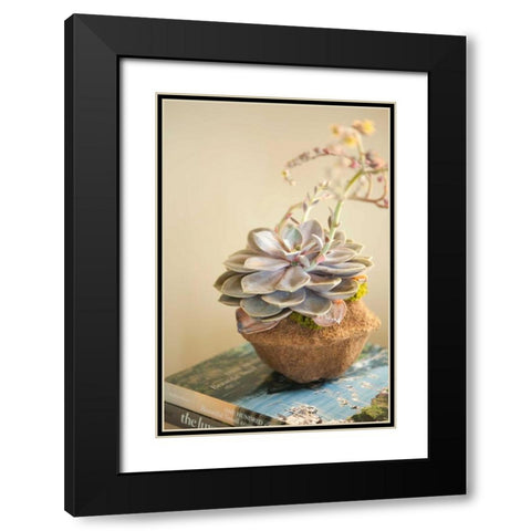 Small Succulent Black Modern Wood Framed Art Print with Double Matting by Millet, Karyn