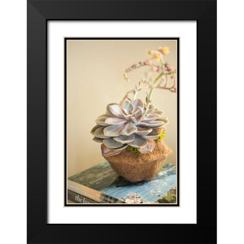 Small Succulent Black Modern Wood Framed Art Print with Double Matting by Millet, Karyn