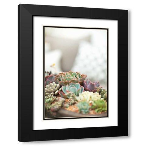 Succulents Black Modern Wood Framed Art Print with Double Matting by Millet, Karyn