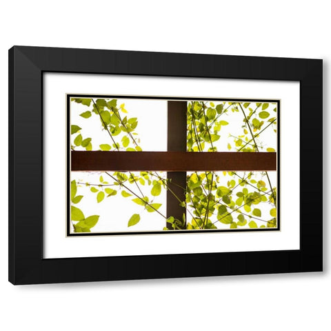 Branches and Lattice Black Modern Wood Framed Art Print with Double Matting by Millet, Karyn