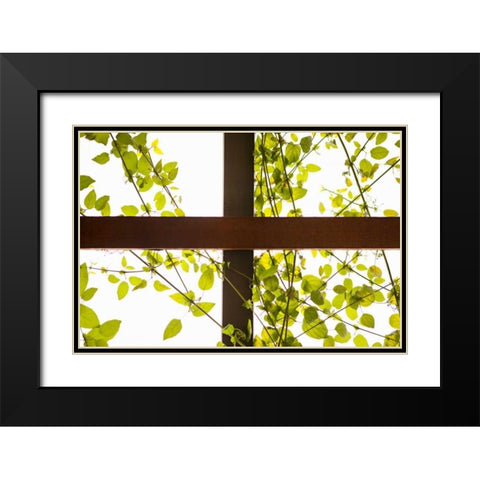 Branches and Lattice Black Modern Wood Framed Art Print with Double Matting by Millet, Karyn