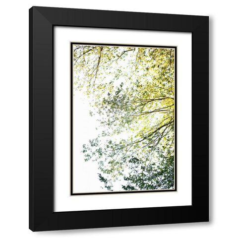 Trees II Black Modern Wood Framed Art Print with Double Matting by Millet, Karyn