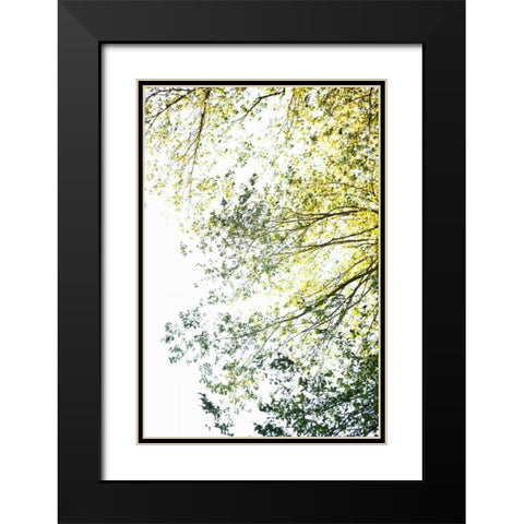 Trees II Black Modern Wood Framed Art Print with Double Matting by Millet, Karyn