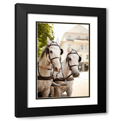 Bridled Horses Black Modern Wood Framed Art Print with Double Matting by Millet, Karyn
